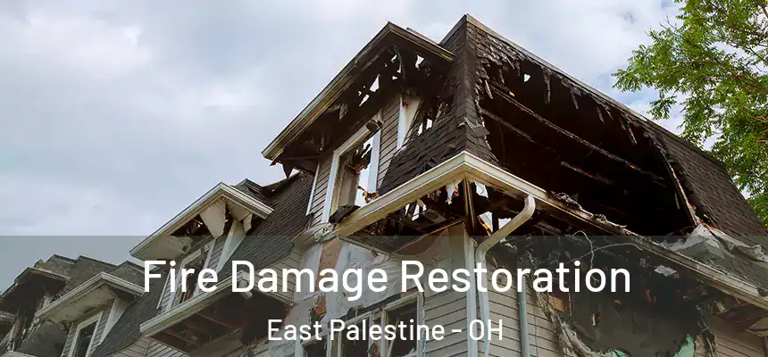  Fire Damage Restoration East Palestine - OH