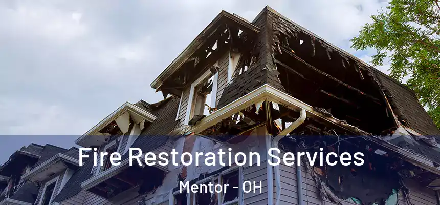  Fire Restoration Services Mentor - OH