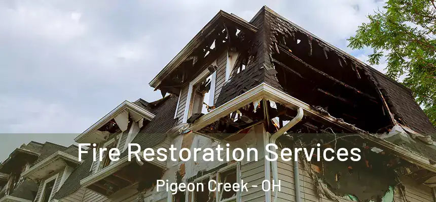 Fire Restoration Services Pigeon Creek - OH