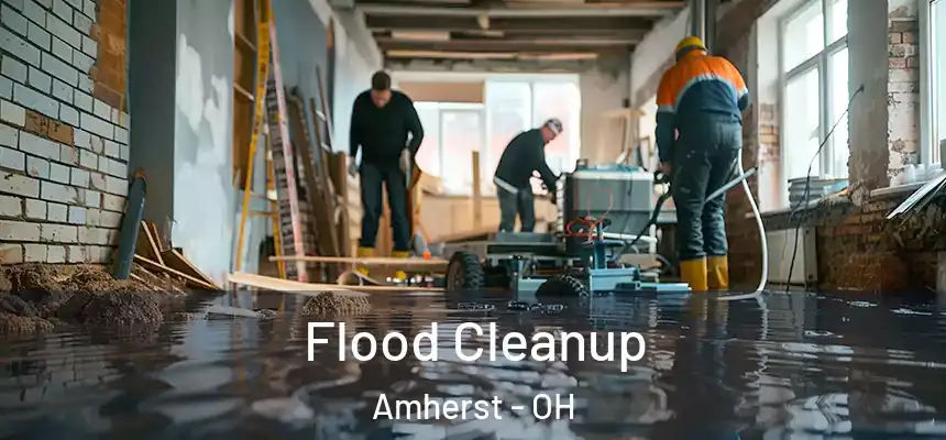  Flood Cleanup Amherst - OH