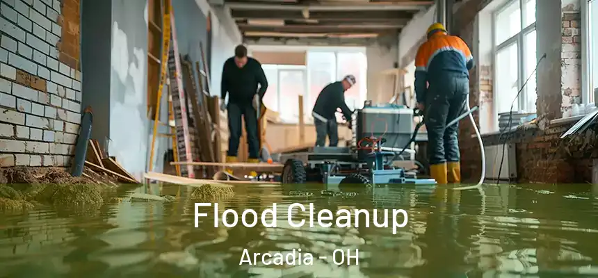 Flood Cleanup Arcadia - OH