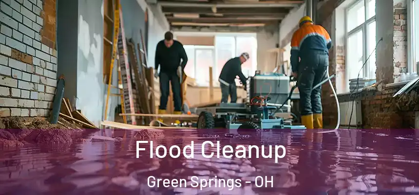 Flood Cleanup Green Springs - OH