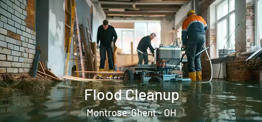  Flood Cleanup Montrose-Ghent - OH