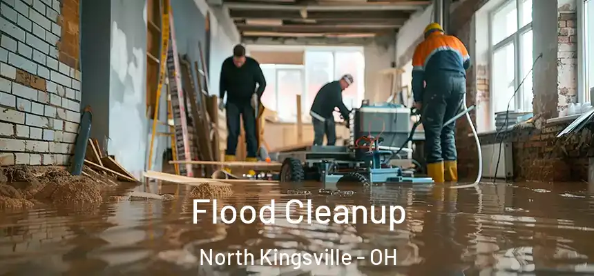 Flood Cleanup North Kingsville - OH