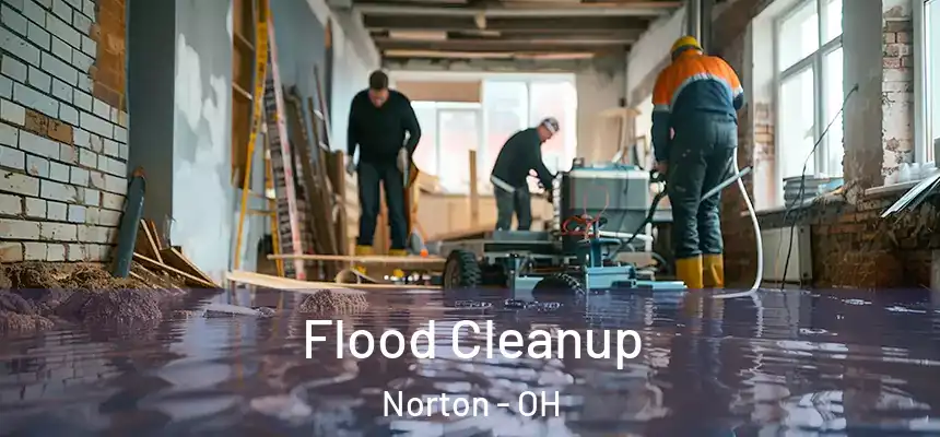  Flood Cleanup Norton - OH