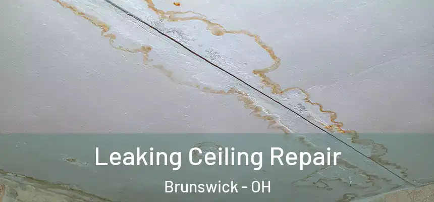  Leaking Ceiling Repair Brunswick - OH