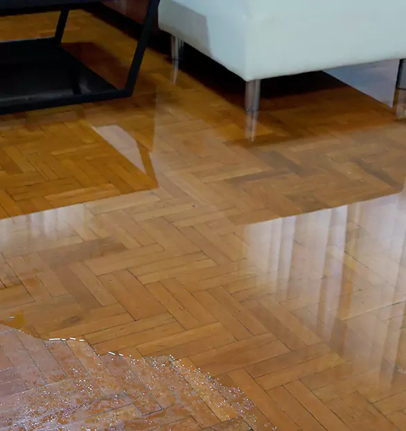 Trusted Emergency Water Restoration Company in Brunswick, OH