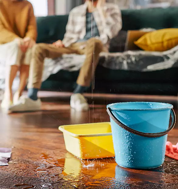 Trusted Water Mitigation Company in Brunswick, OH