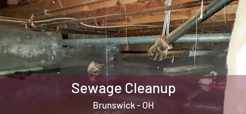  Sewage Cleanup Brunswick - OH