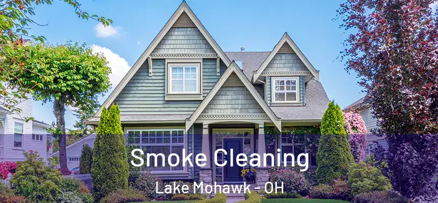 Smoke Cleaning Lake Mohawk - OH