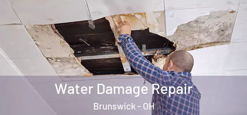 Water Damage Repair Brunswick - OH