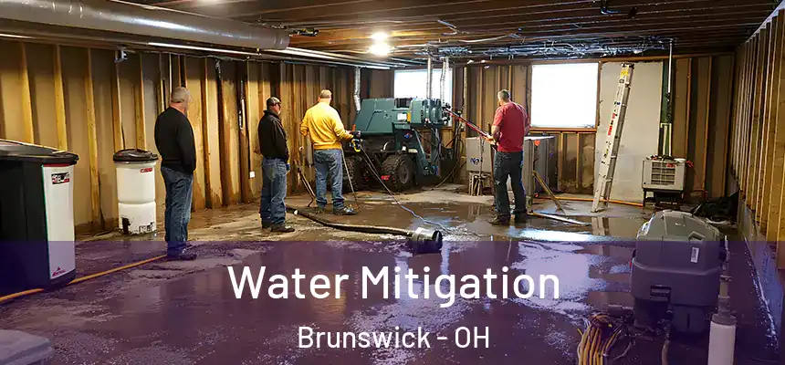  Water Mitigation Brunswick - OH