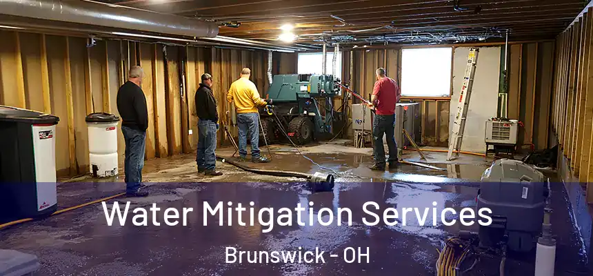  Water Mitigation Services Brunswick - OH