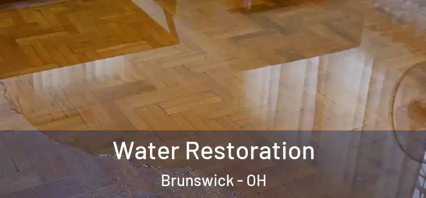 Water Restoration Brunswick - OH